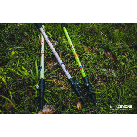 Kids trekking poles best sale